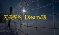 无畏契约【Xeam/透视/梓喵】辅助